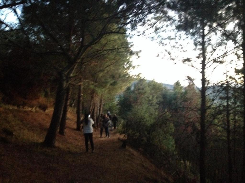 אקיטניה Cabanas Refugio Del Cerro מראה חיצוני תמונה